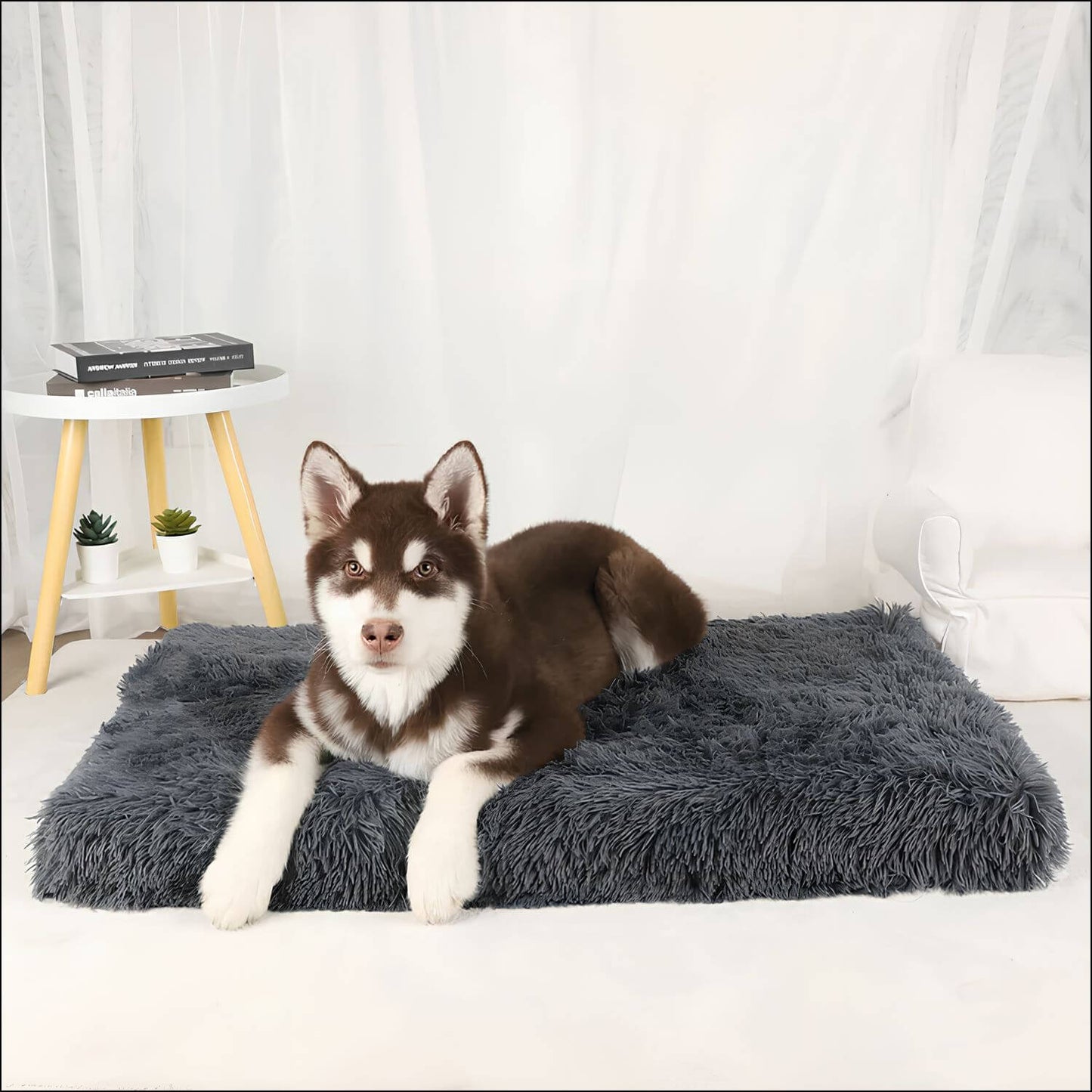 ComfortPaw – Orthopädische Hundematte für gesunden Schlaf und optimale Unterstützung