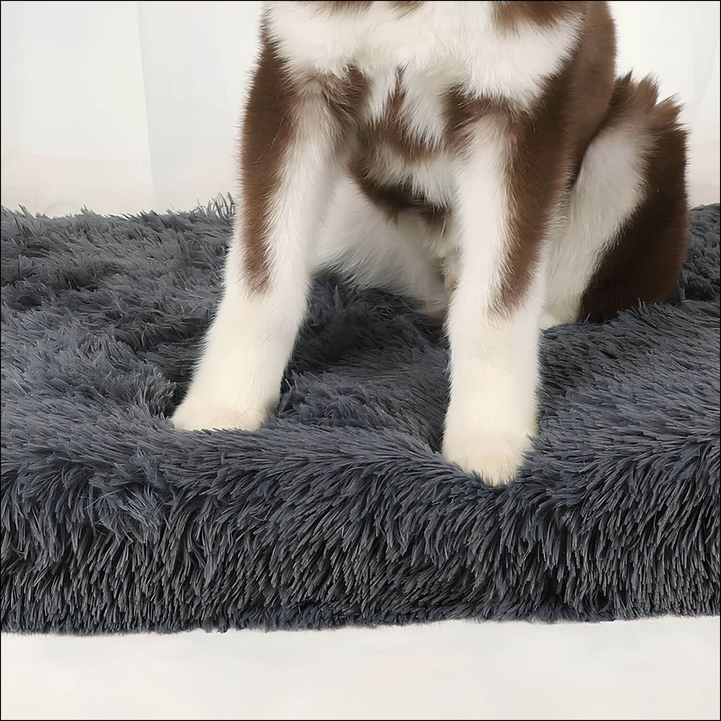 ComfortPaw – Orthopädische Hundematte für gesunden Schlaf und optimale Unterstützung