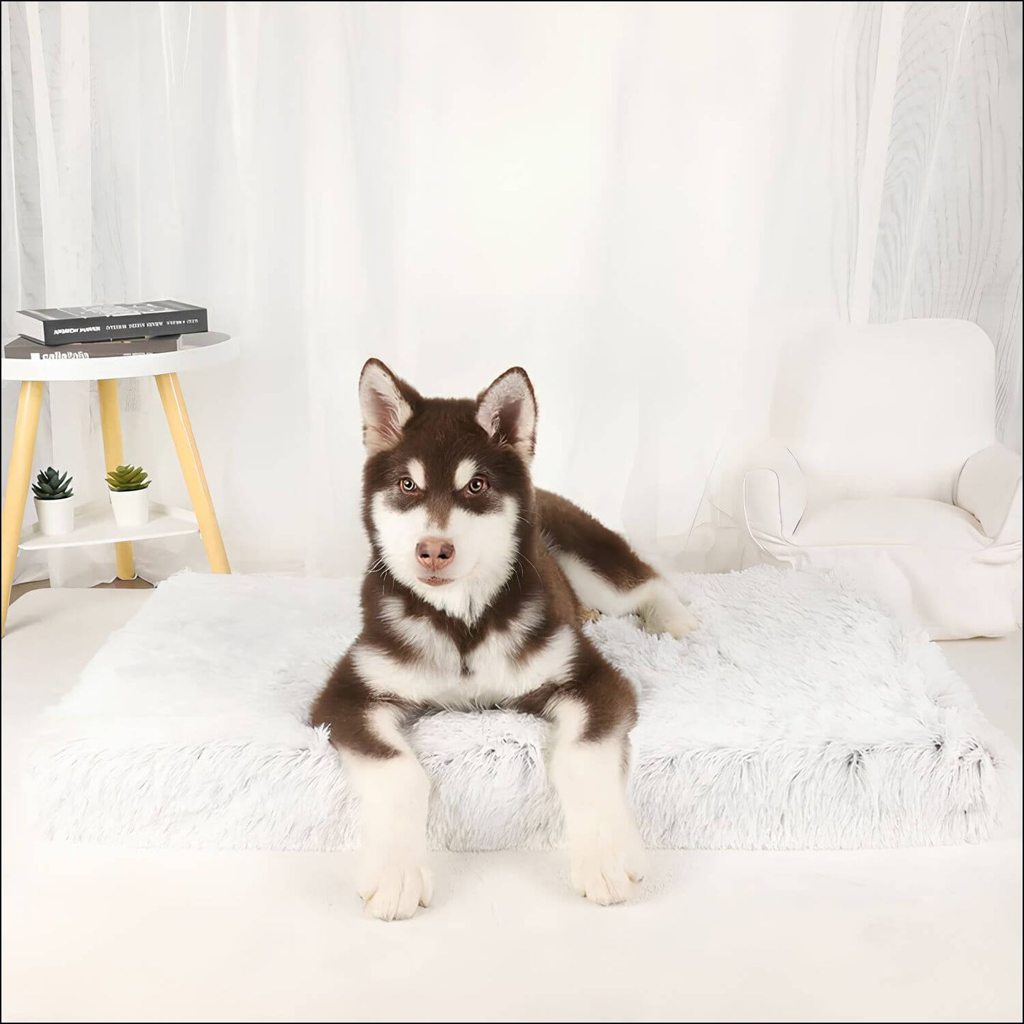 ComfortPaw – Orthopädische Hundematte für gesunden Schlaf und optimale Unterstützung