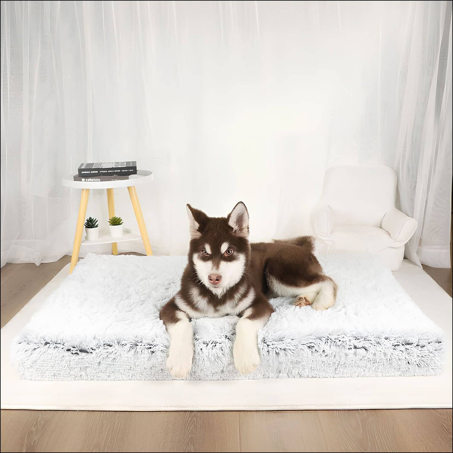 ComfortPaw – Orthopädische Hundematte für gesunden Schlaf und optimale Unterstützung