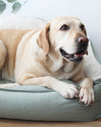 LuxusKuschel Hundebett – Ultimativer Komfort für erholsamen Schlaf