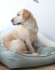 LuxusKuschel Hundebett – Ultimativer Komfort für erholsamen Schlaf
