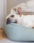 LuxusKuschel Hundebett – Ultimativer Komfort für erholsamen Schlaf