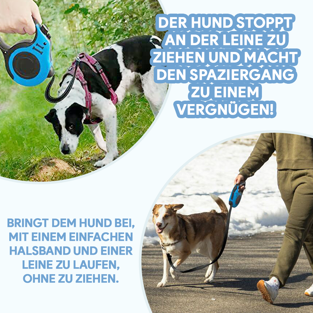 Robuste 5m Anti-Zieh Hundeleine für maximale Kontrolle