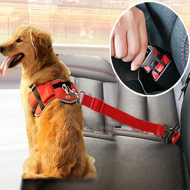 SicherGurt – Robuster Sicherheitsgurt für Hunde im Auto