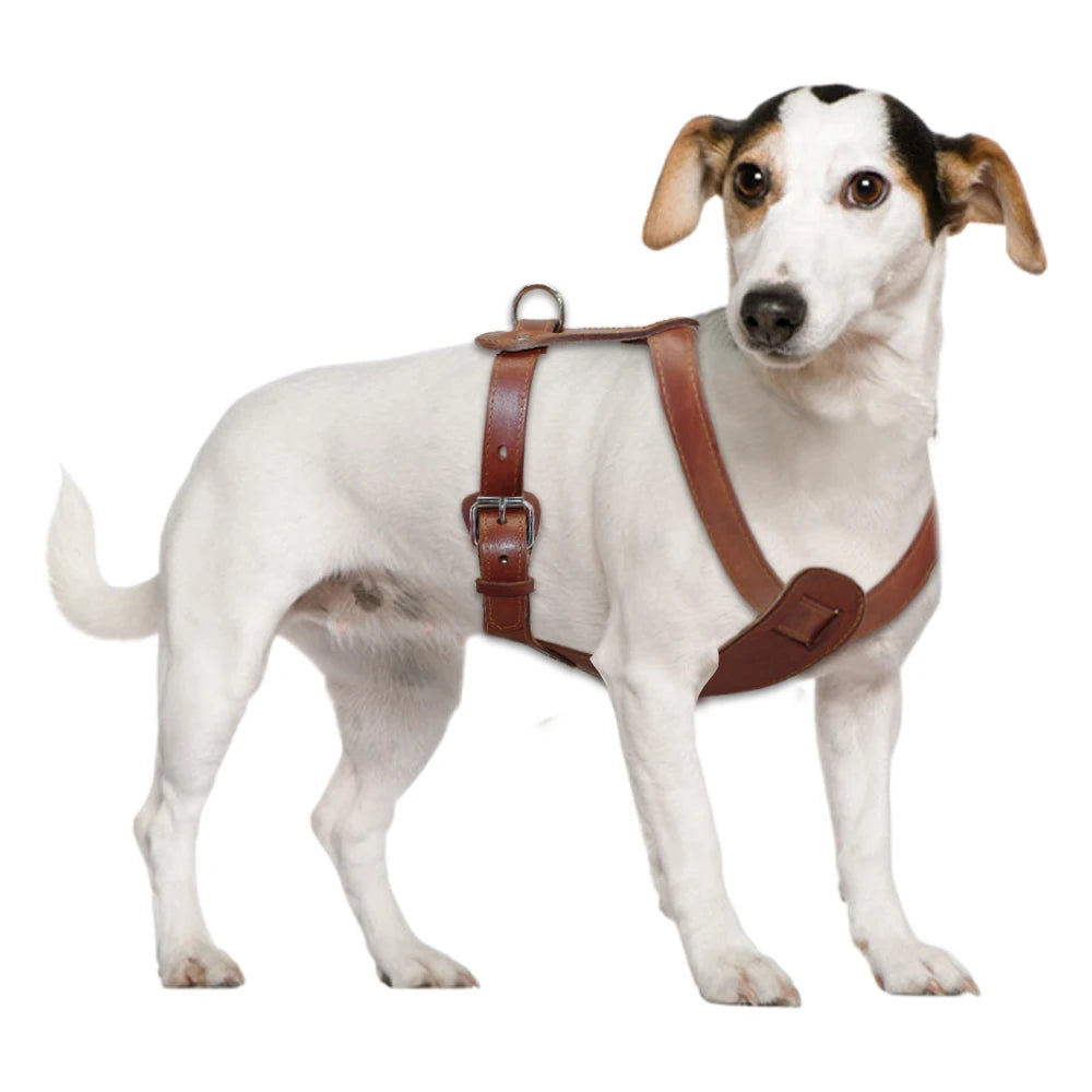 Robuster Echtleder-Hundegeschirr für Training und Spaziergänge
