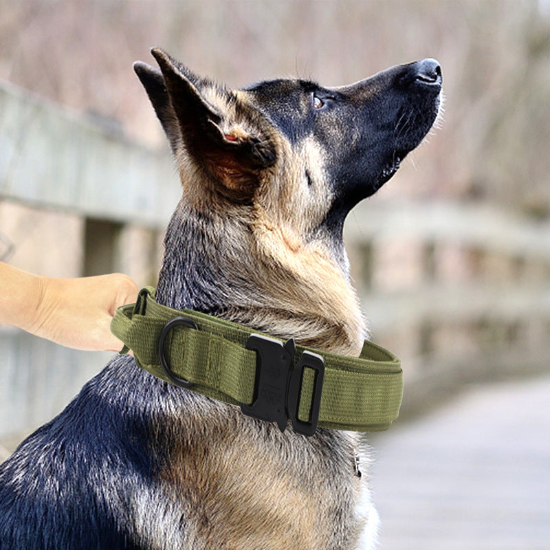 K9 TacticalPro – Verstellbares Hundehalsband mit Leine, Perfekt für Training und Outdoor-Aktivitäten