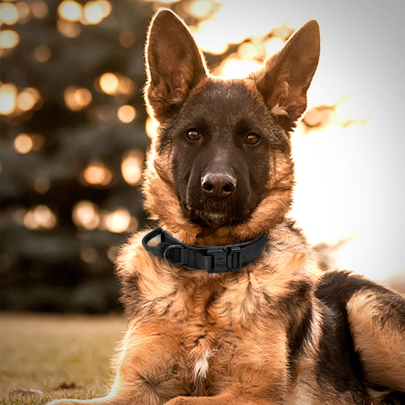 K9 TacticalPro – Verstellbares Hundehalsband mit Leine, Perfekt für Training und Outdoor-Aktivitäten