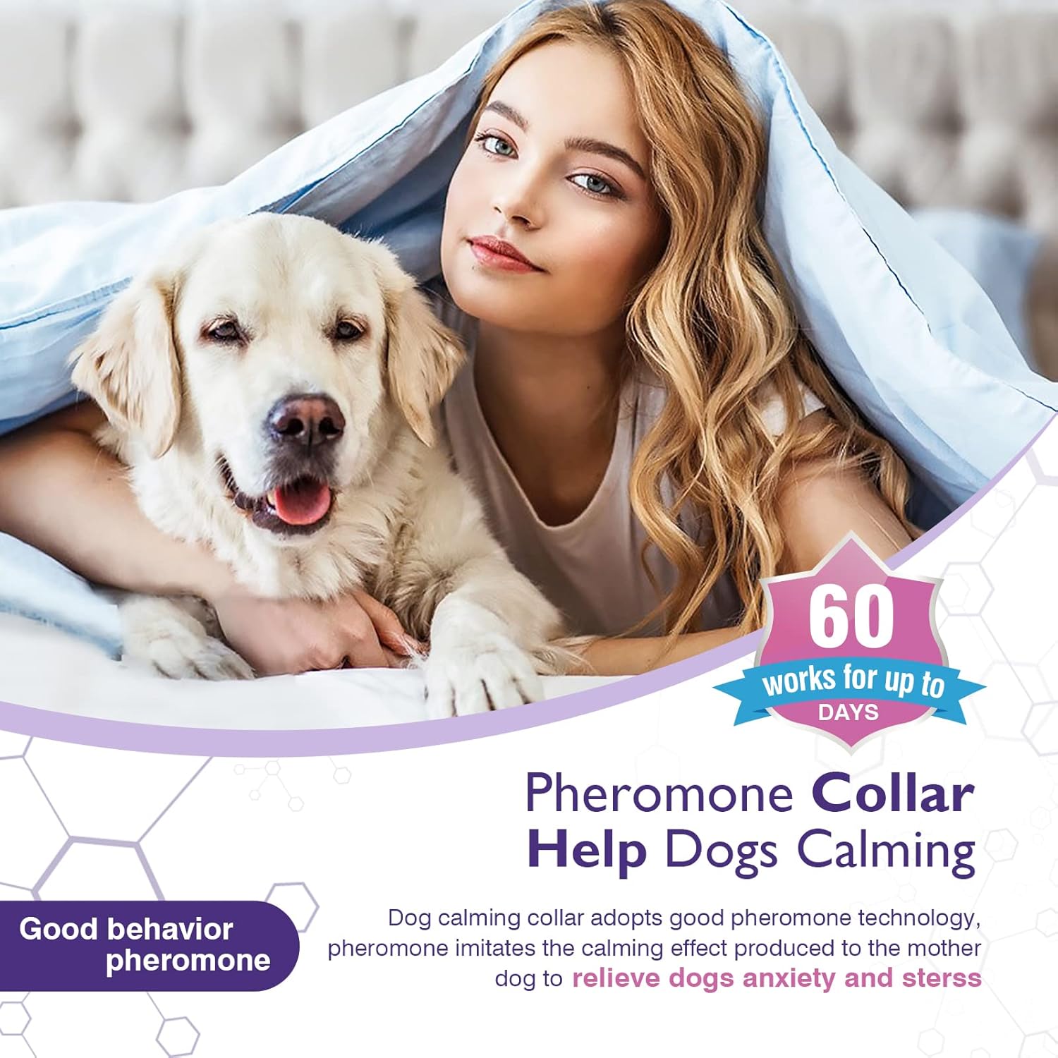 Beruhigungshalsband für Hunde – Stressreduzierung durch Pheromone