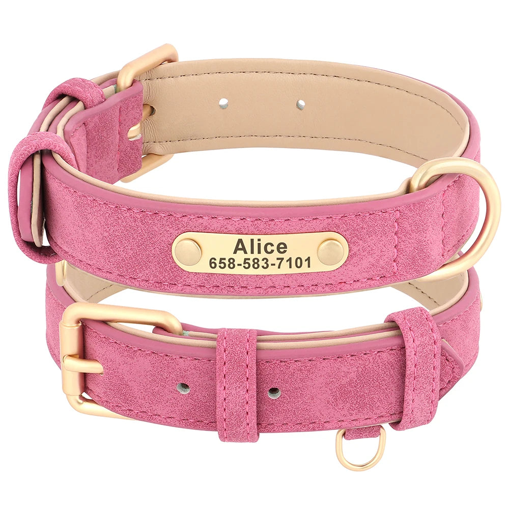 Einzigartiges Hundehalsband mit Namen