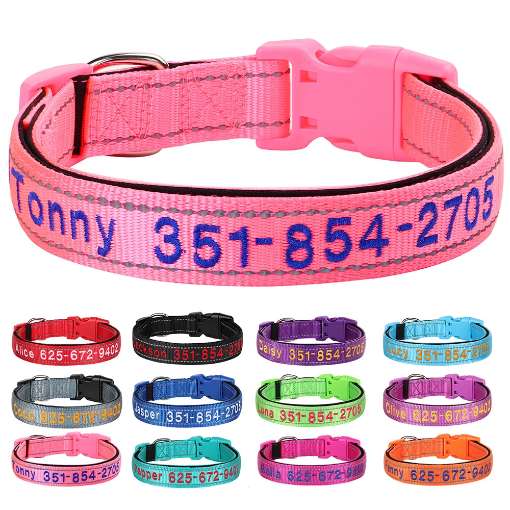 Leo Hundehalsband - Besticktes Nylonhalsband mit reflektierendem Design und individueller Gravur