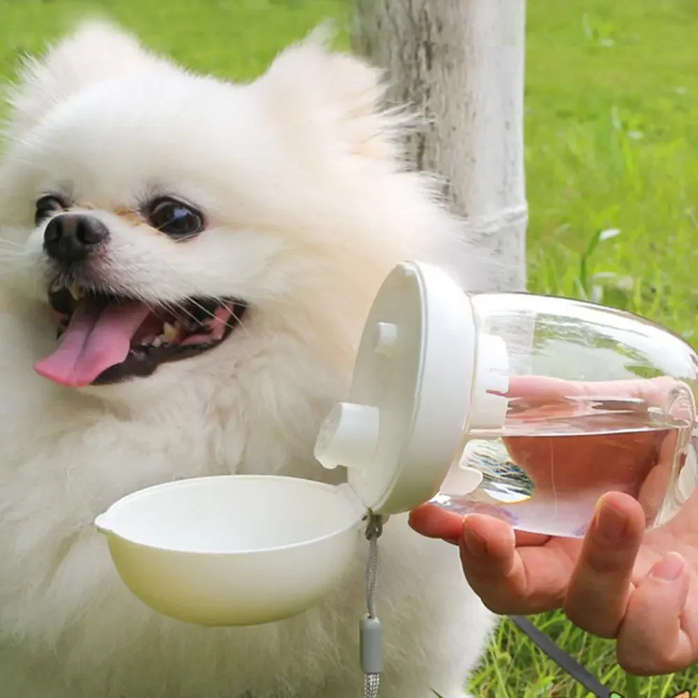 AquaBuddy – Tragbare Hundewasserflasche mit Trinknapf