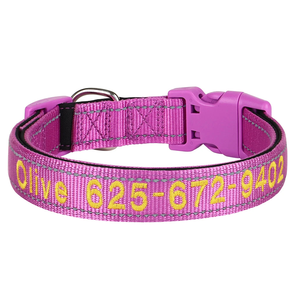 Leo Hundehalsband - Besticktes Nylonhalsband mit reflektierendem Design und individueller Gravur
