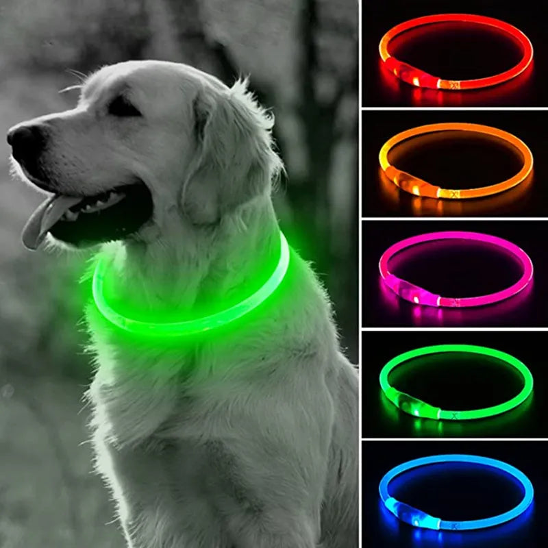 GlowGuard - Leuchtendes LED-Hundehalsband mit USB-Aufladung