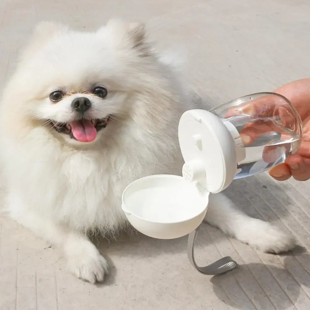 AquaBuddy – Tragbare Hundewasserflasche mit Trinknapf