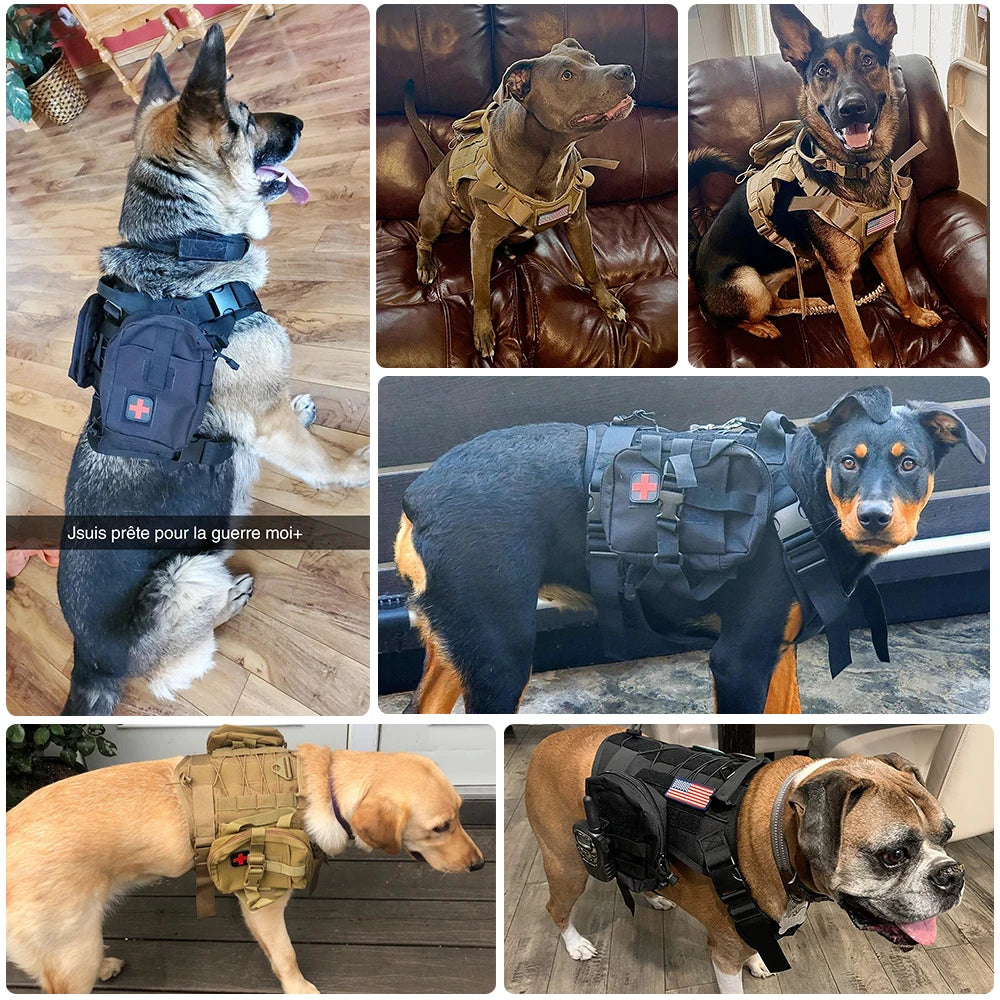 K9 Tactical Hundegeschirr mit Leine – Robustes Military-Set für Training und Kontrolle