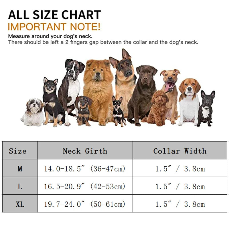 K9Control - Taktisches Hundehalsband mit Griff für mittlere und große Hunde