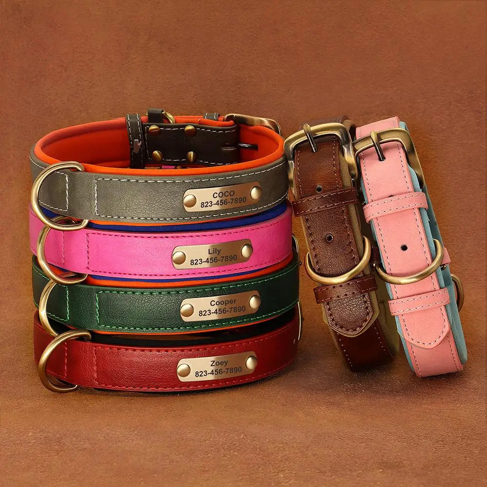 Einzigartiges Hundehalsband mit Namen