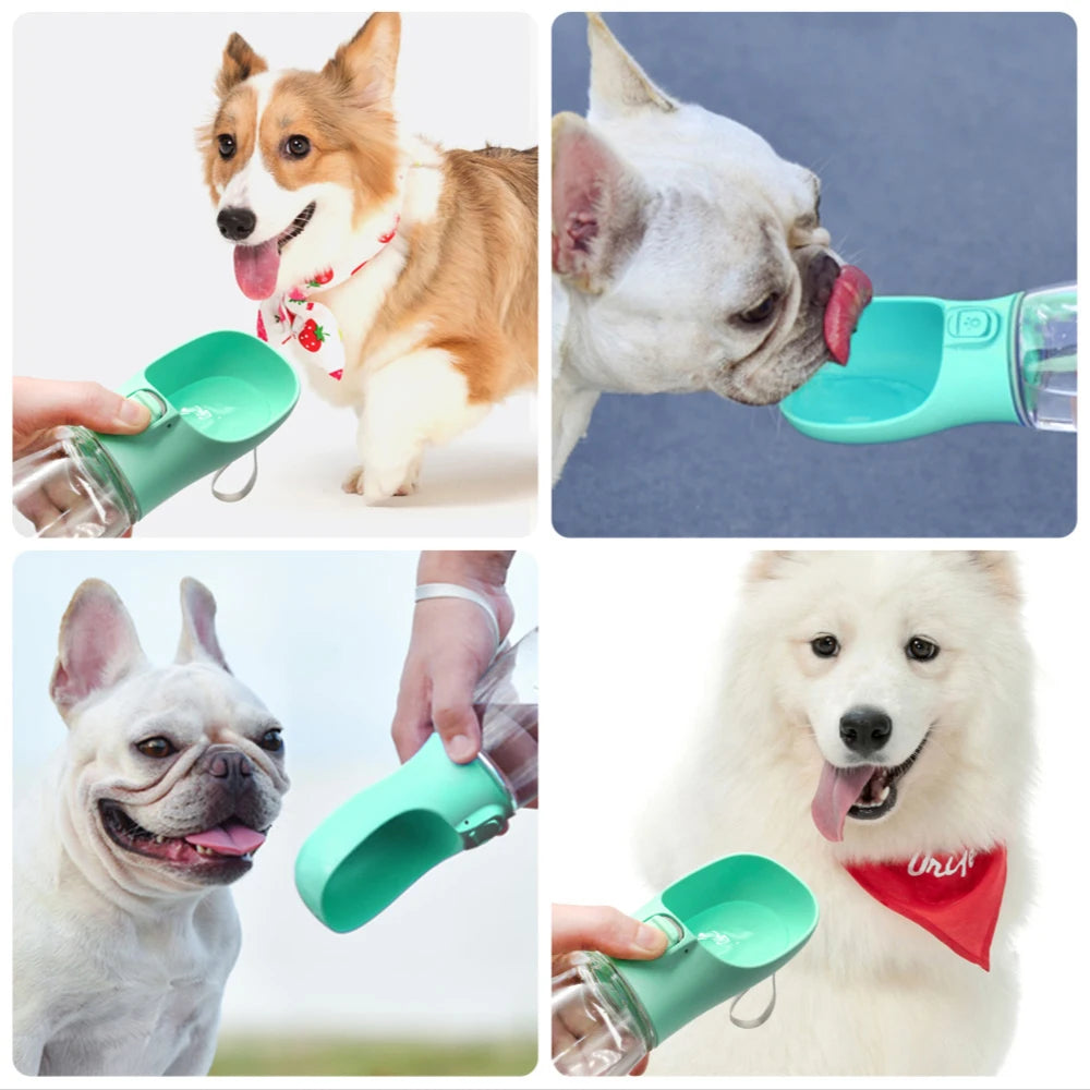 AquaFlow – Tragbare Hundewasserflasche mit Auslaufschutz