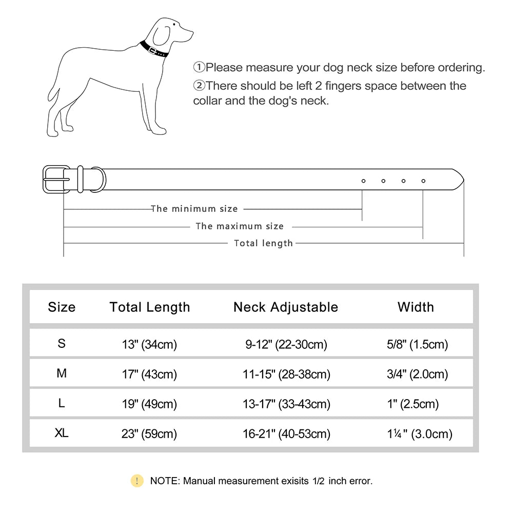 Einzigartiges Hundehalsband mit Namen