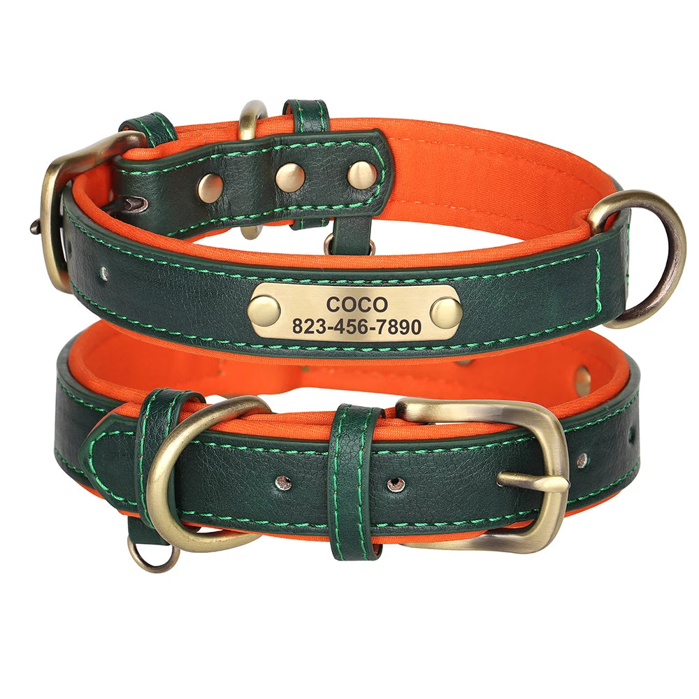 Einzigartiges Hundehalsband mit Namen