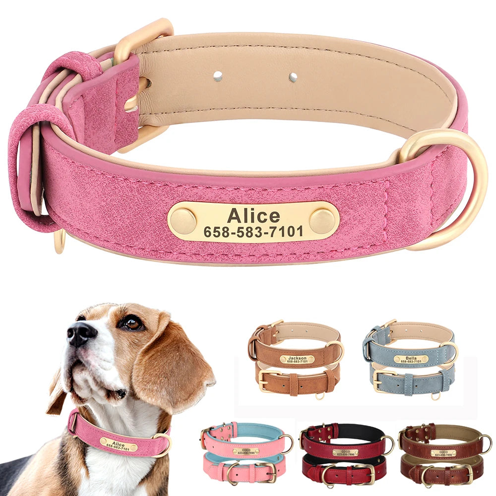 Einzigartiges Hundehalsband mit Namen