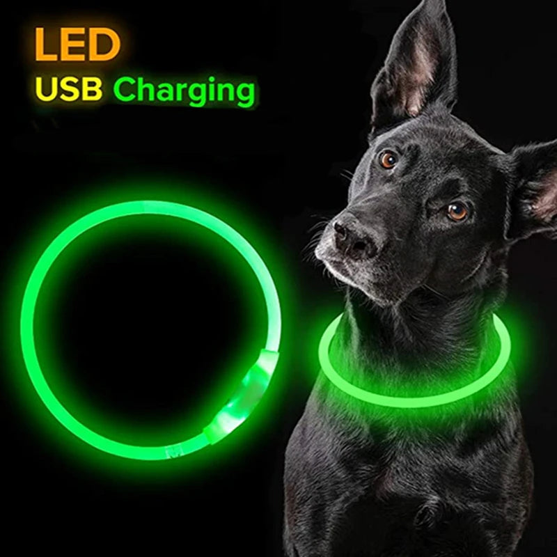 GlowGuard - Leuchtendes LED-Hundehalsband mit USB-Aufladung