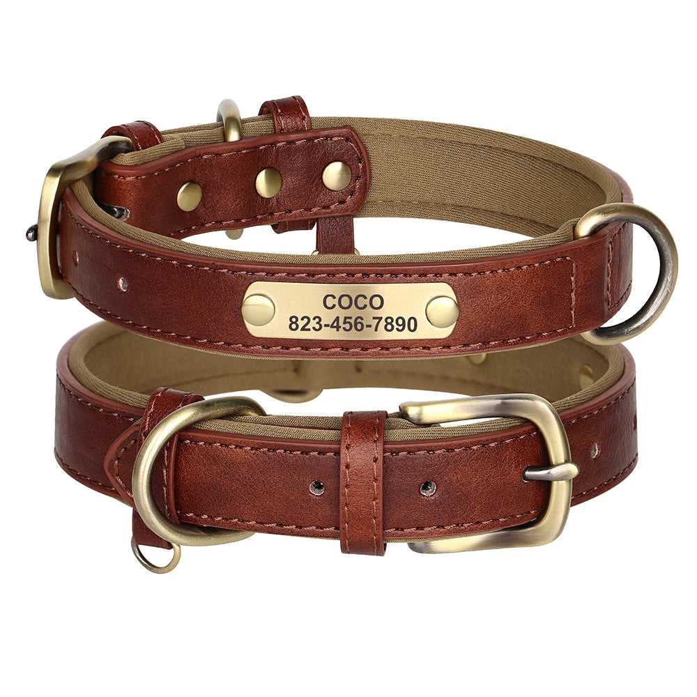 Einzigartiges Hundehalsband mit Namen