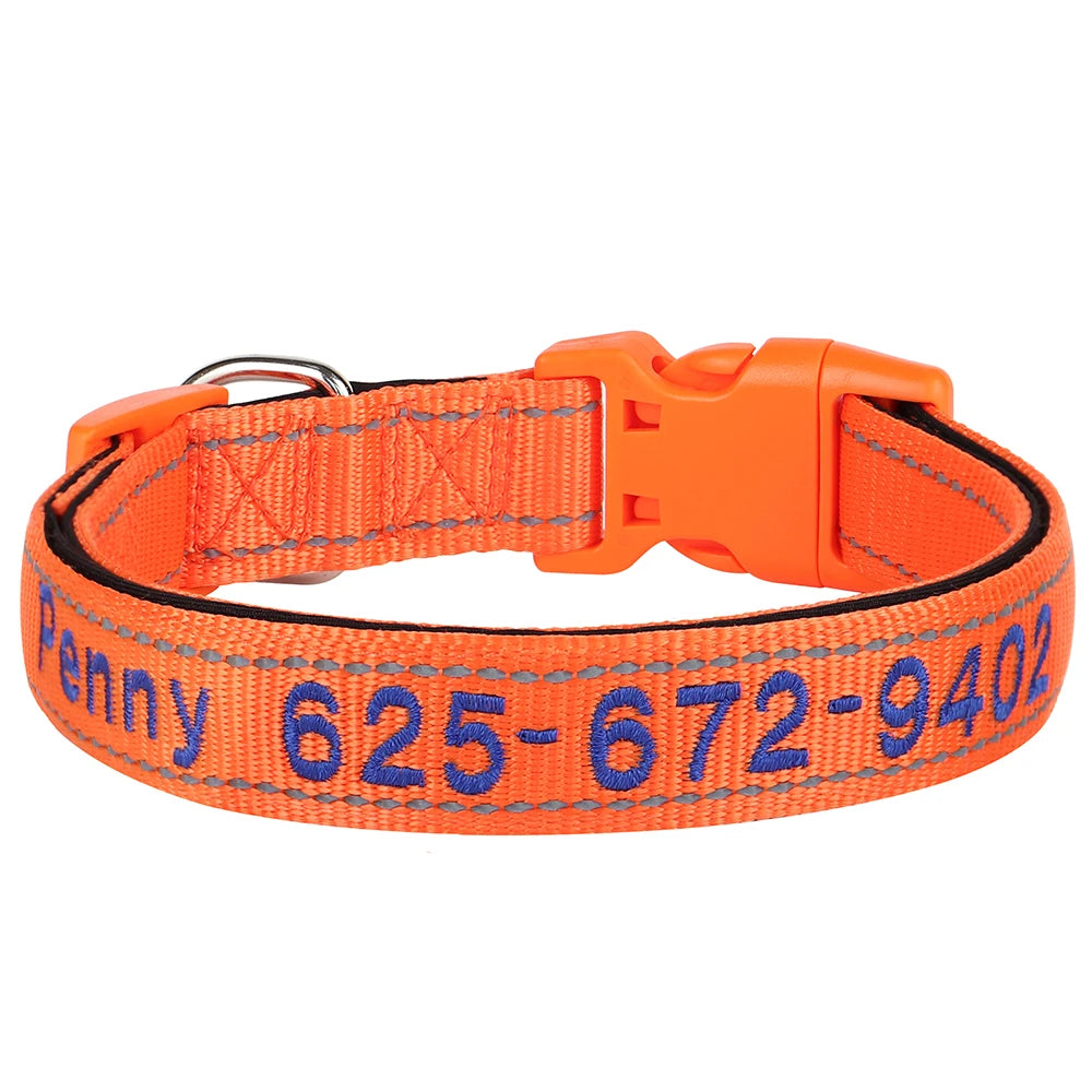 Leo Hundehalsband - Besticktes Nylonhalsband mit reflektierendem Design und individueller Gravur