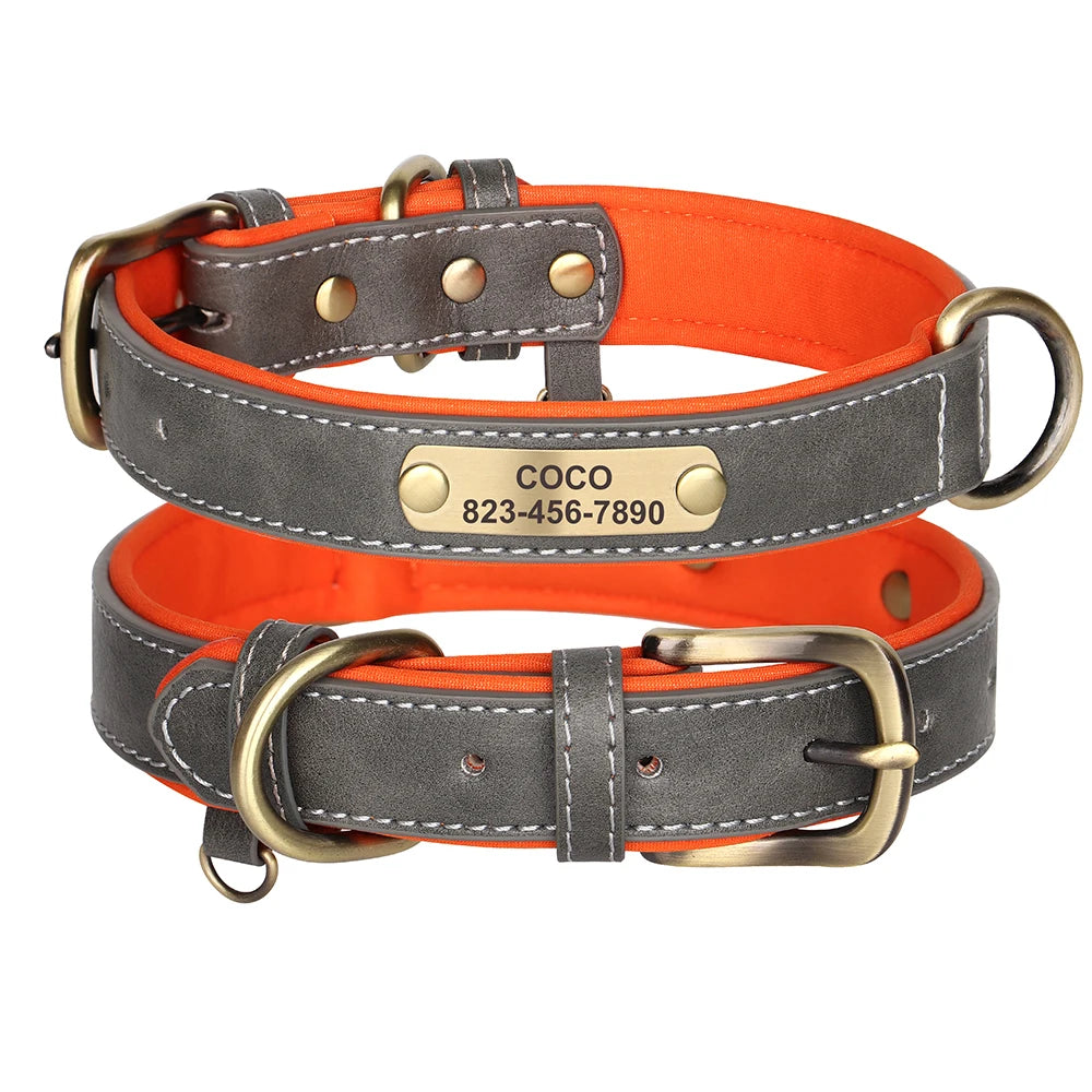 Einzigartiges Hundehalsband mit Namen