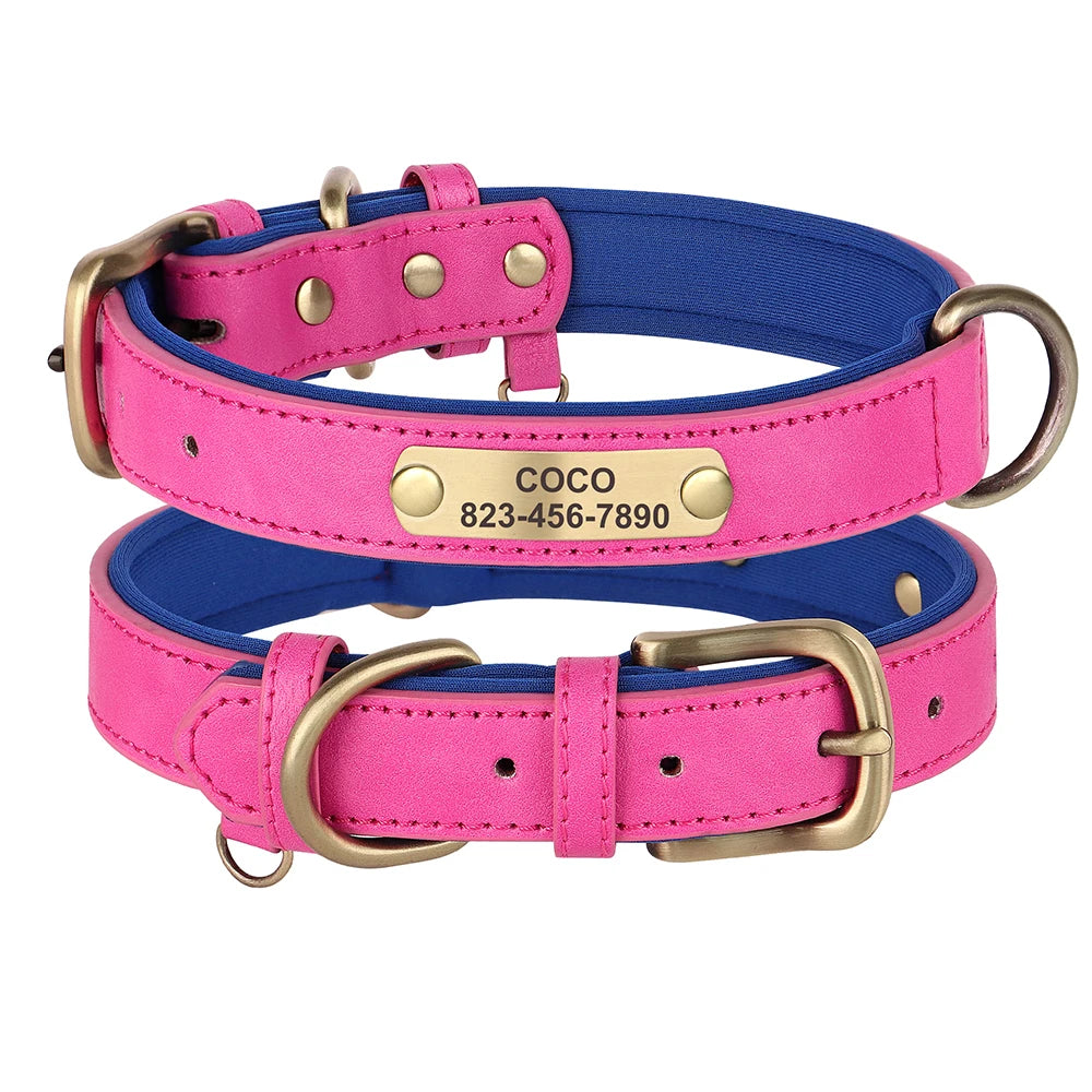 Einzigartiges Hundehalsband mit Namen