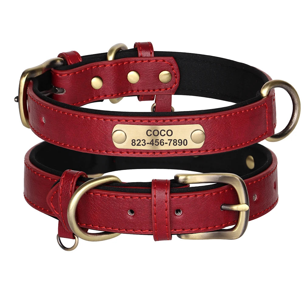 Einzigartiges Hundehalsband mit Namen