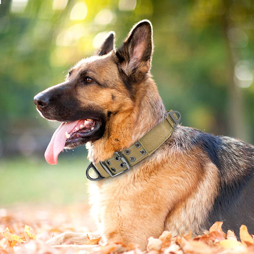 PawTactic Militärischer Hundehalsband