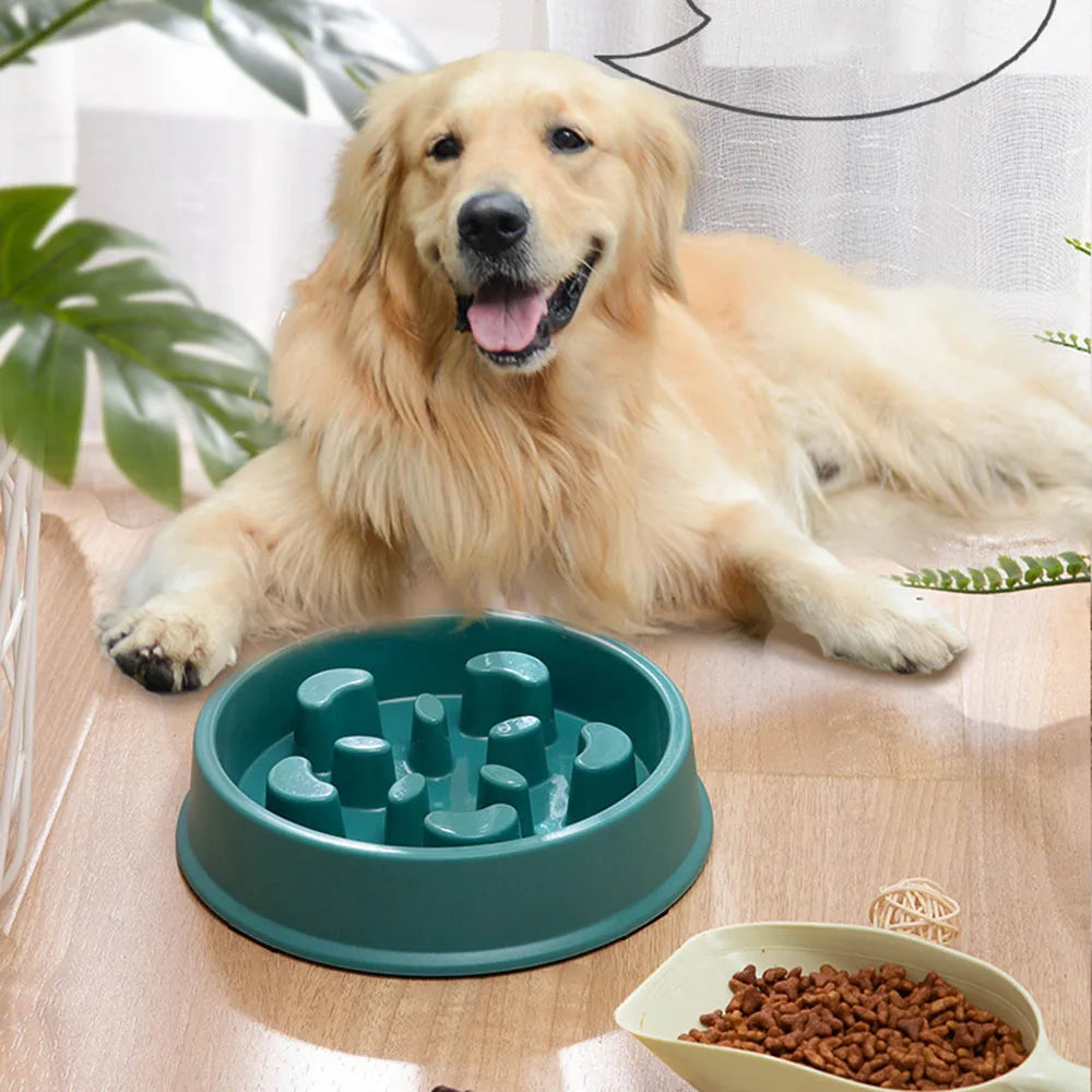 PetSnack - Anti-Schling Fressnapf für Haustiere aus robustem Kunststoff