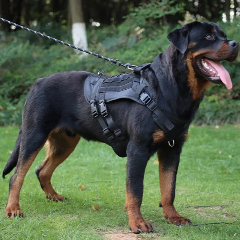 TactiGuard - Multifunktionales Taktisches Hundegeschirr für mittlere und große Hunde