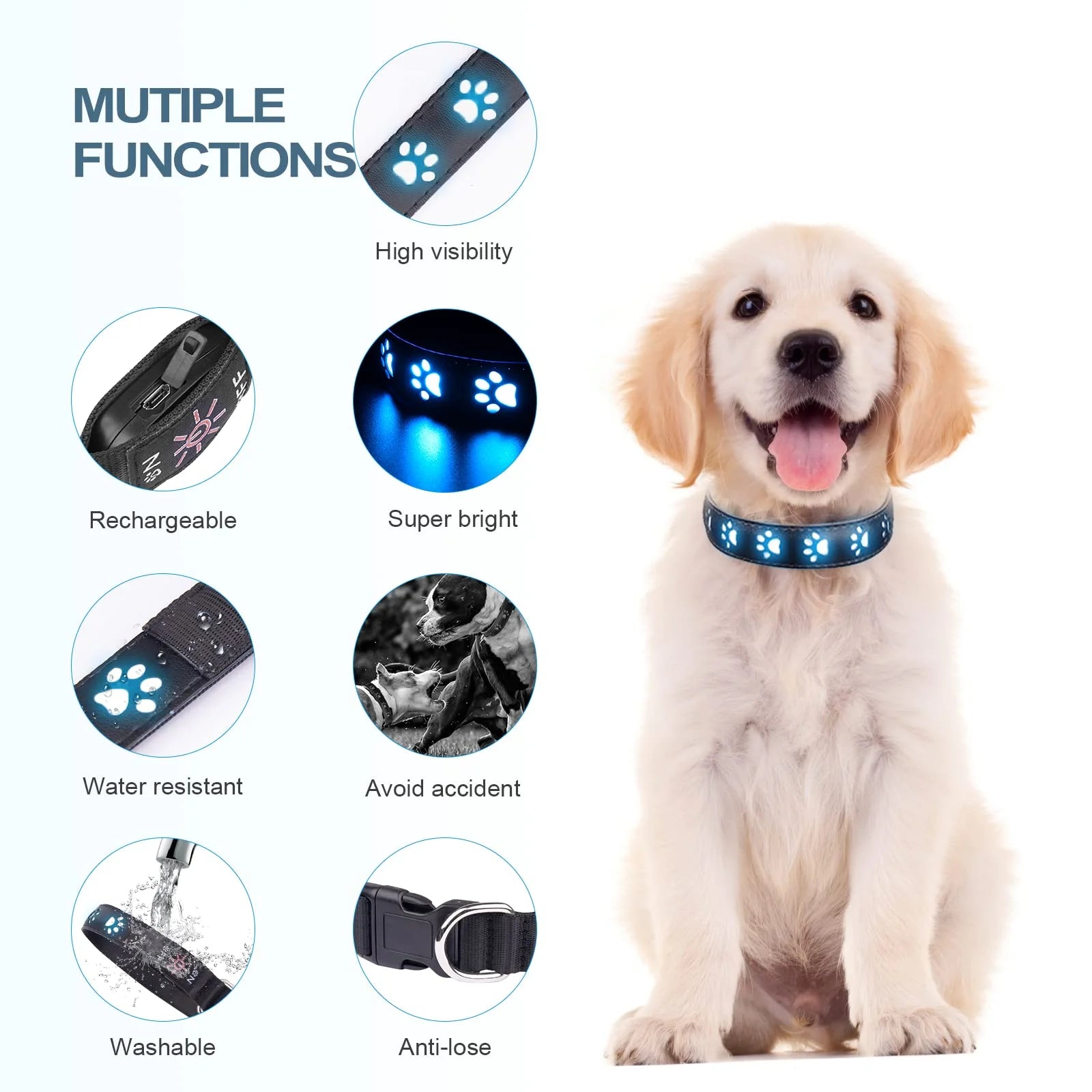 Leuchtendes Hundehalsband GlowBuddy – 7 Modi, Wasserdicht &amp; USB-Aufladung