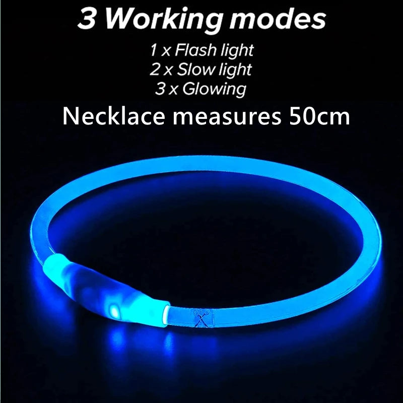 GlowGuard - Leuchtendes LED-Hundehalsband mit USB-Aufladung