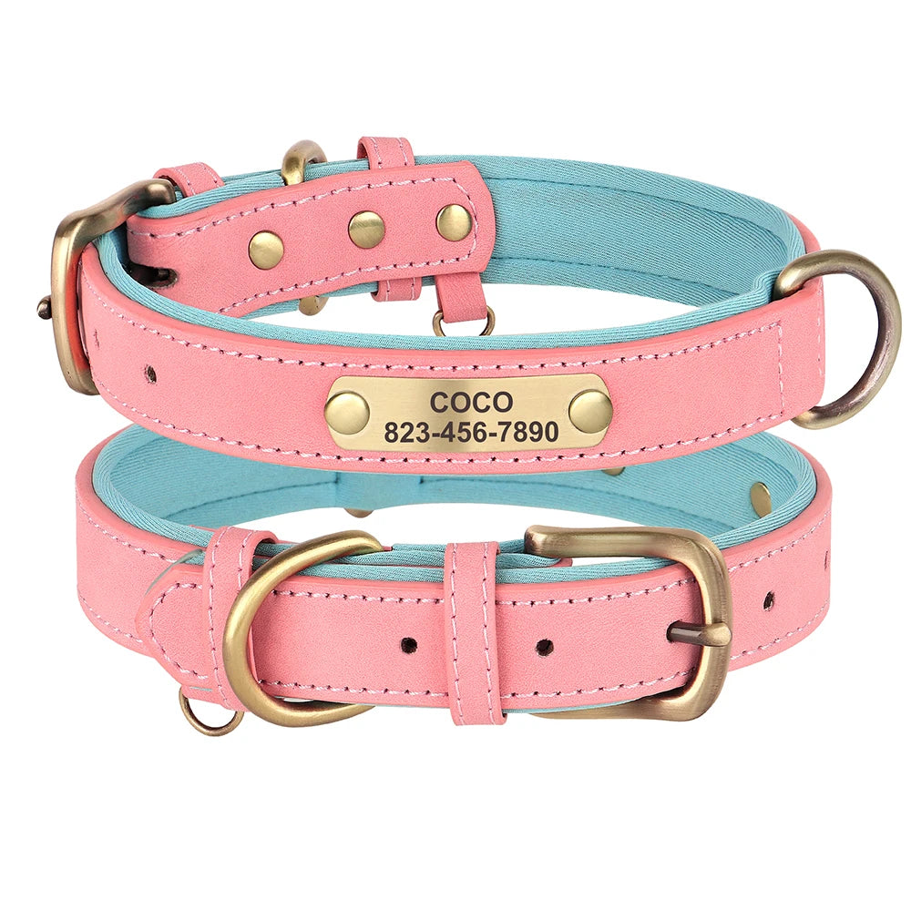 Einzigartiges Hundehalsband mit Namen