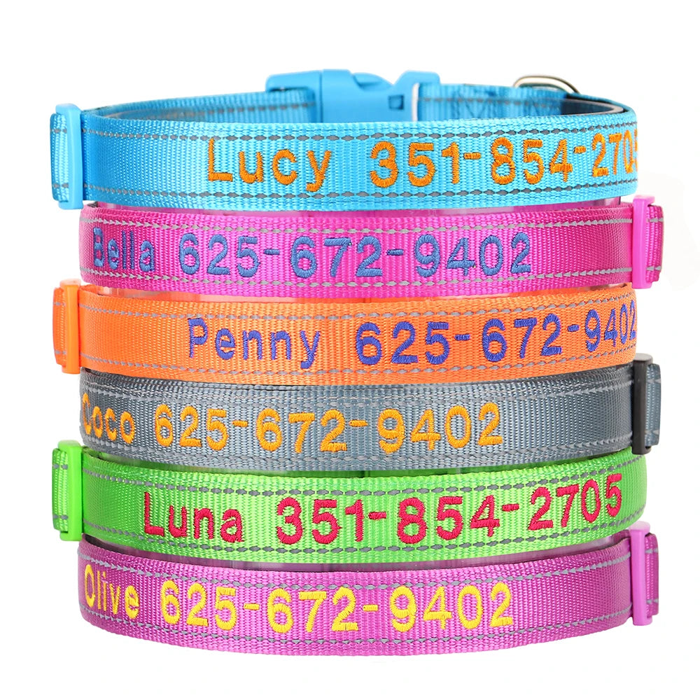 Leo Hundehalsband - Besticktes Nylonhalsband mit reflektierendem Design und individueller Gravur