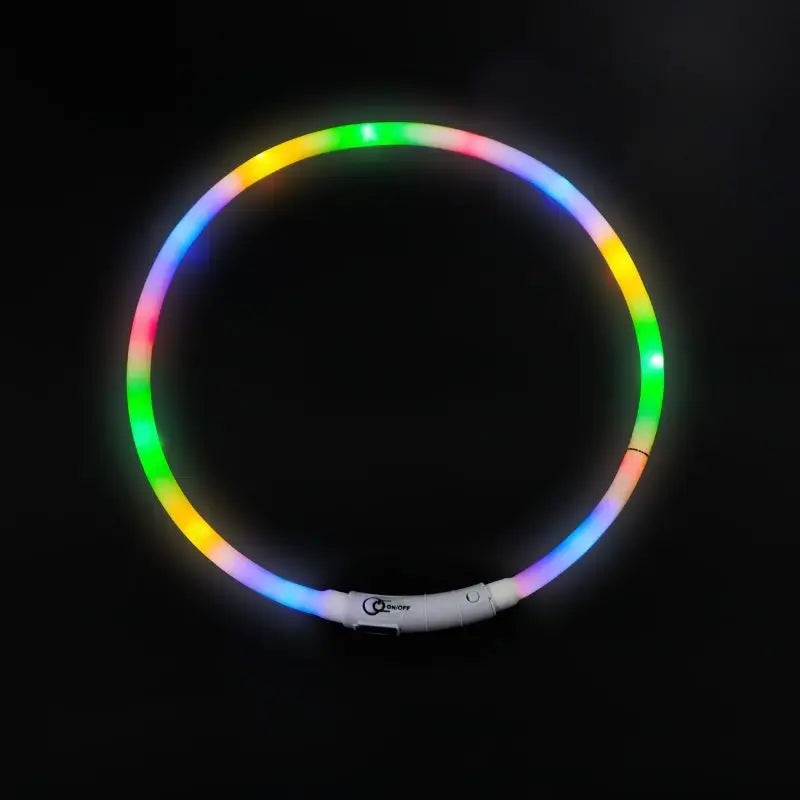 GlowGuard - Leuchtendes LED-Hundehalsband mit USB-Aufladung