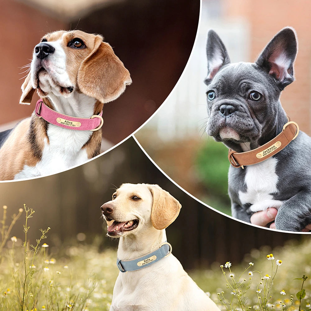 Einzigartiges Hundehalsband mit Namen