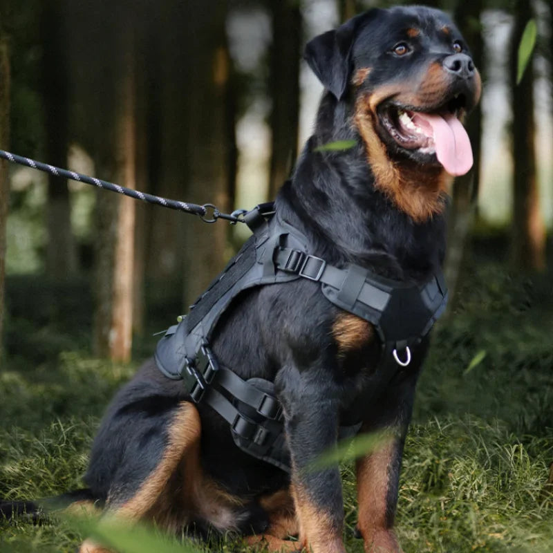 TactiGuard - Multifunktionales Taktisches Hundegeschirr für mittlere und große Hunde