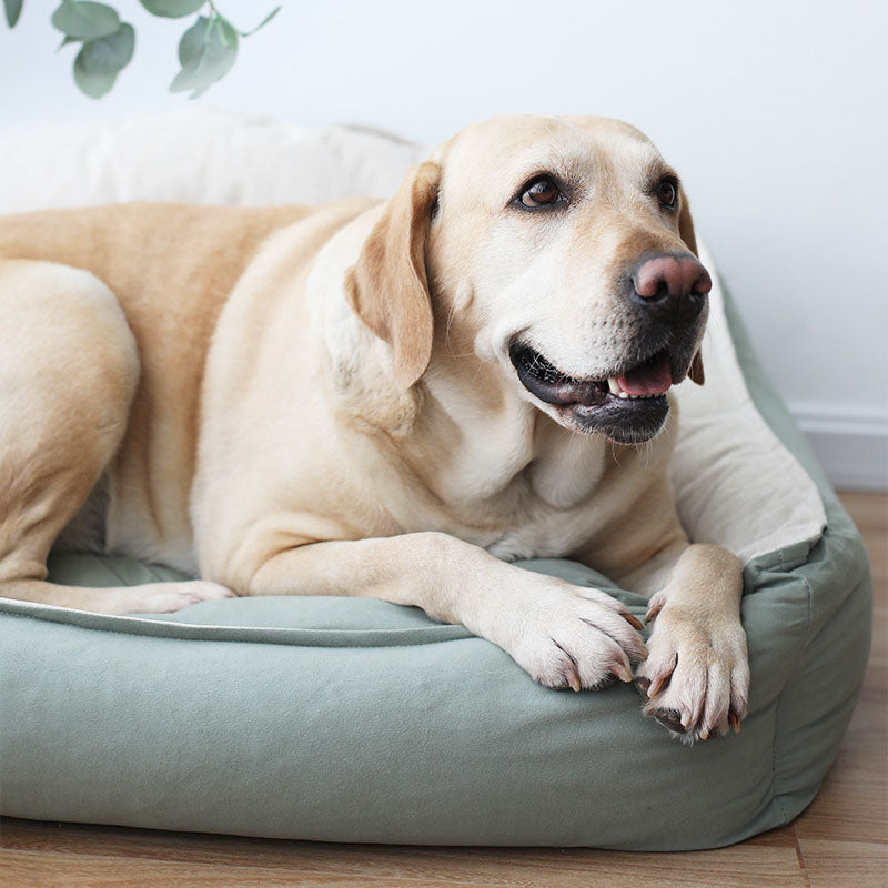 LuxusKuschel Hundebett – Ultimativer Komfort für erholsamen Schlaf