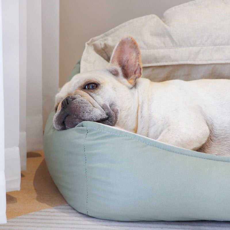 LuxusKuschel Hundebett – Ultimativer Komfort für erholsamen Schlaf