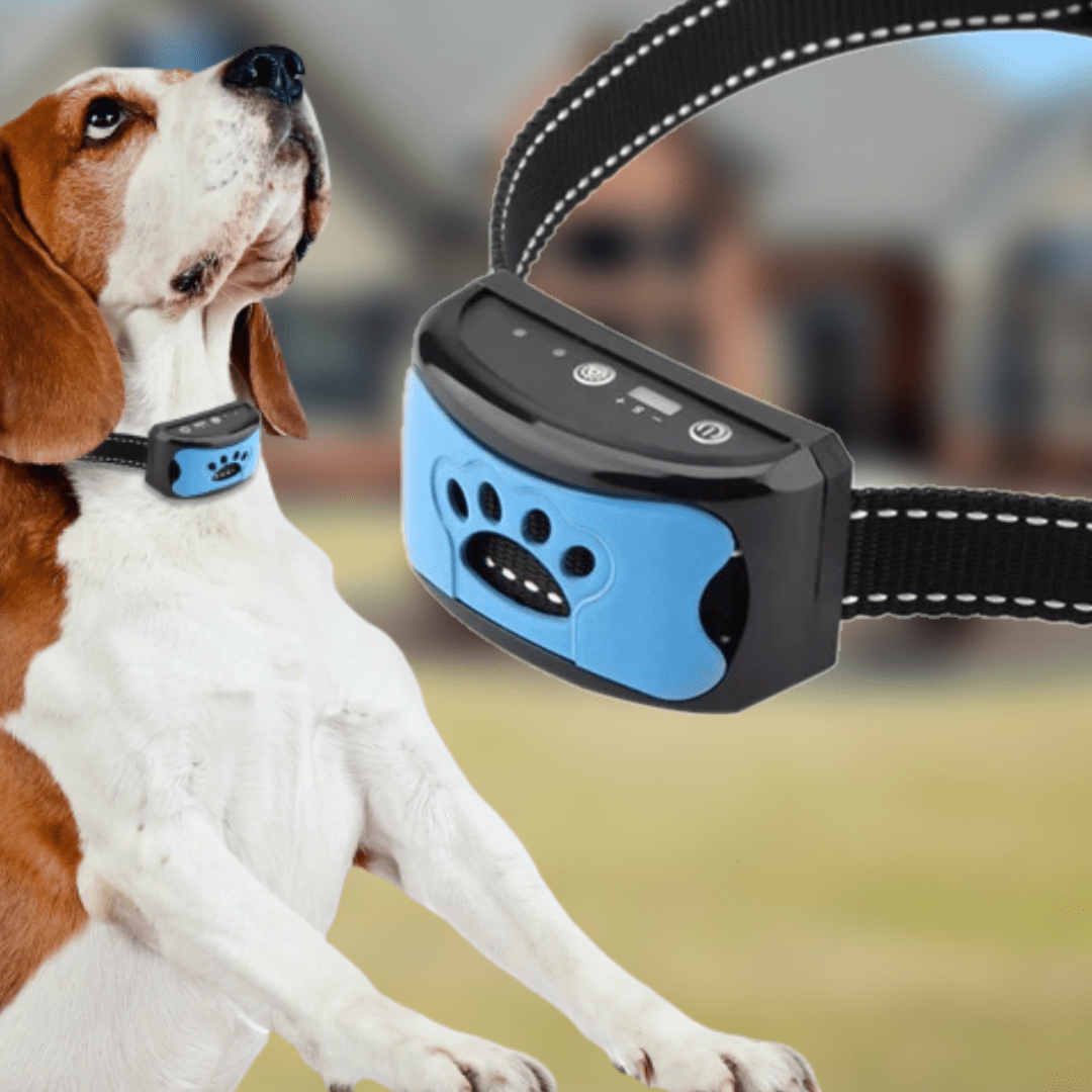 BellMeister – Vibrations-Anti-Bell-Halsband für Gøende Hunde